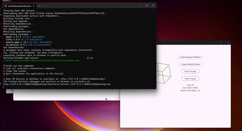 Window focus and realization fix on Windows